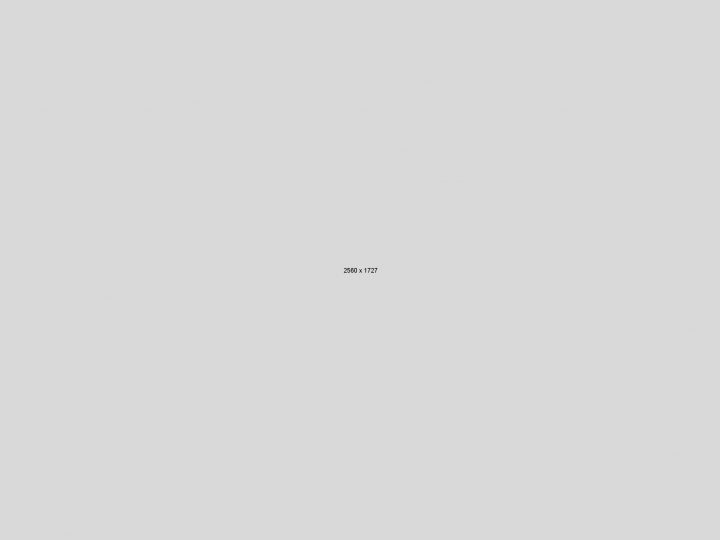 SLIDER GALLERIES INSIDE POSTS